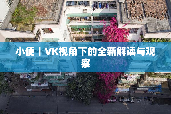 小便丨VK视角下的全新解读与观察