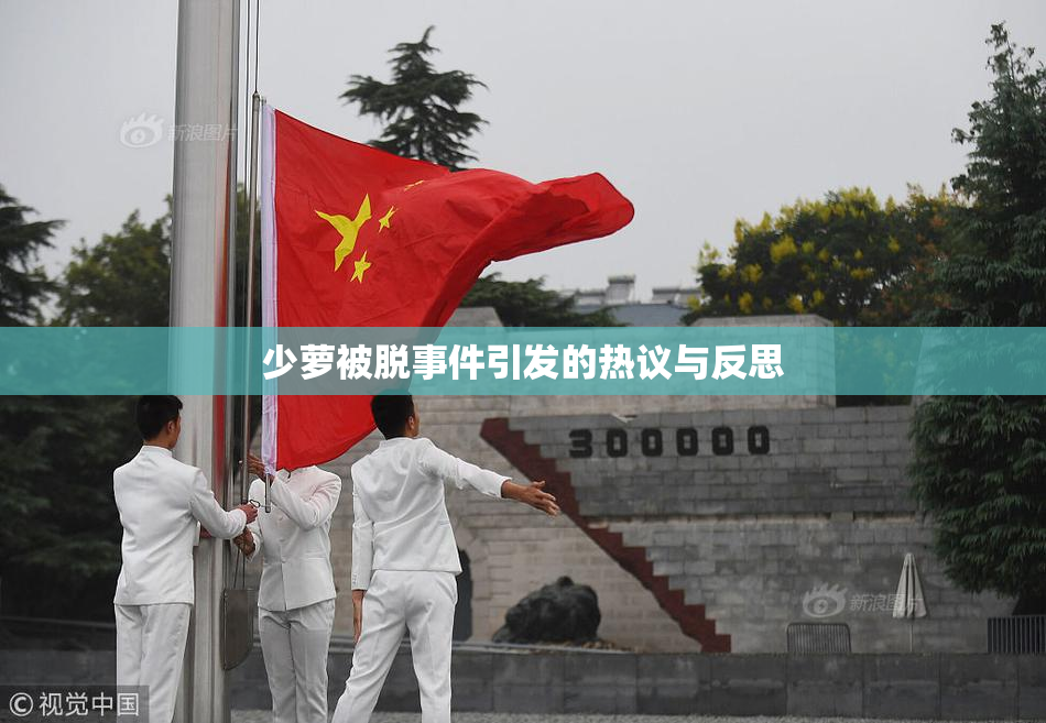 少萝被脱事件引发的热议与反思
