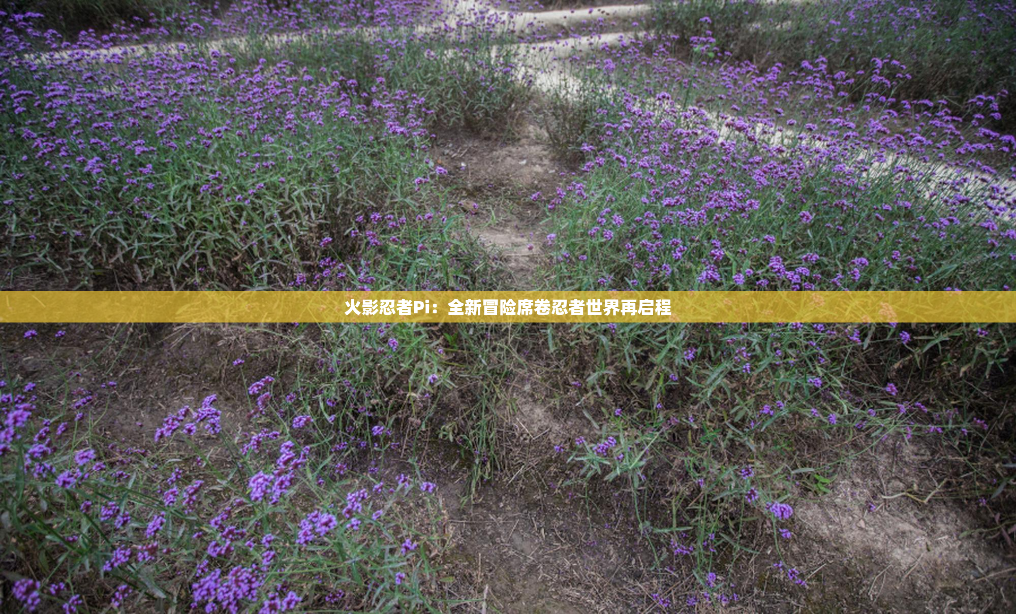 火影忍者Pi：全新冒险席卷忍者世界再启程