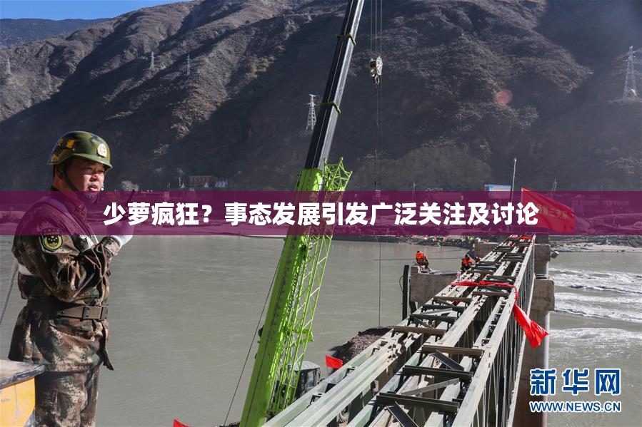 少萝疯狂？事态发展引发广泛关注及讨论
