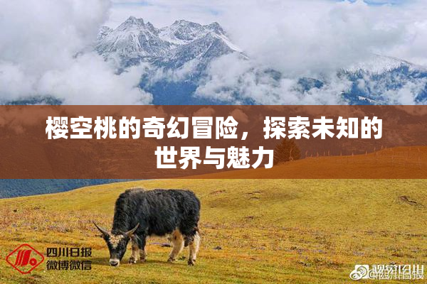 樱空桃的奇幻冒险，探索未知的世界与魅力