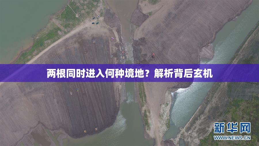 两根同时进入何种境地？解析背后玄机