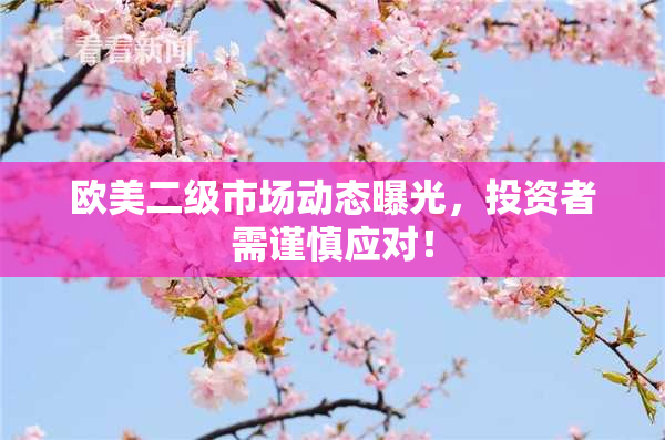 欧美二级市场动态曝光，投资者需谨慎应对！