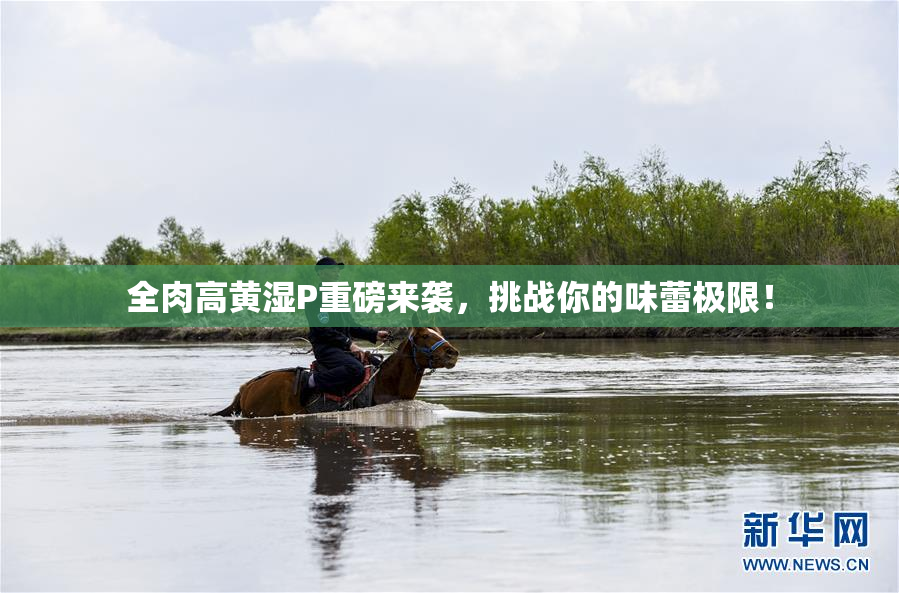 全肉高黄湿P重磅来袭，挑战你的味蕾极限！
