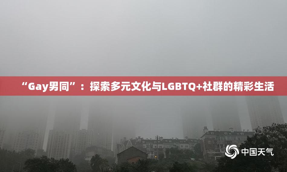 “Gay男同”：探索多元文化与LGBTQ+社群的精彩生活