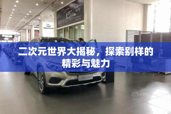 二次元世界大揭秘，探索别样的精彩与魅力