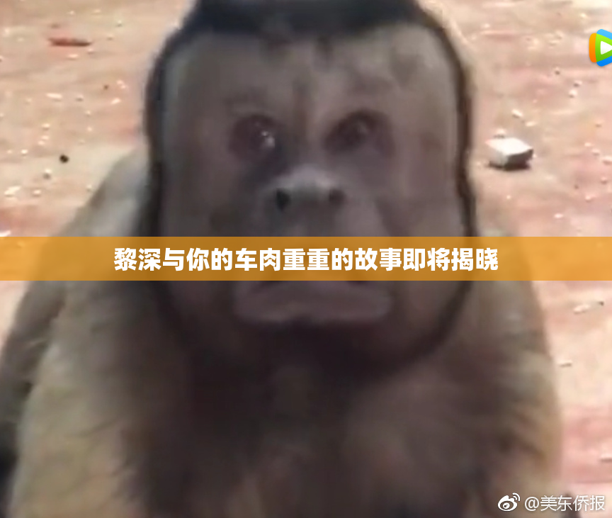 黎深与你的车肉重重的故事即将揭晓