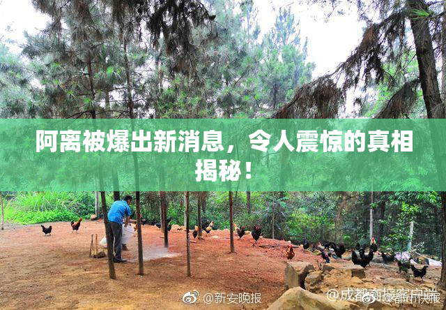 阿离被爆出新消息，令人震惊的真相揭秘！