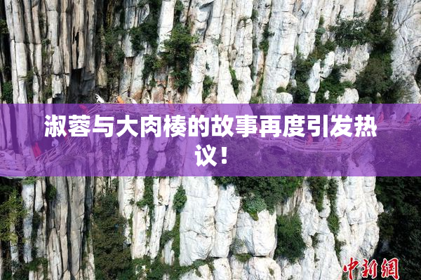 淑蓉与大肉楱的故事再度引发热议！