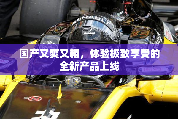 国产又爽又粗，体验极致享受的全新产品上线