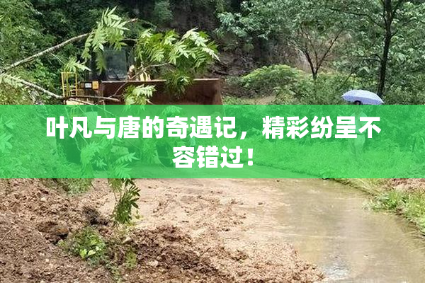 叶凡与唐的奇遇记，精彩纷呈不容错过！