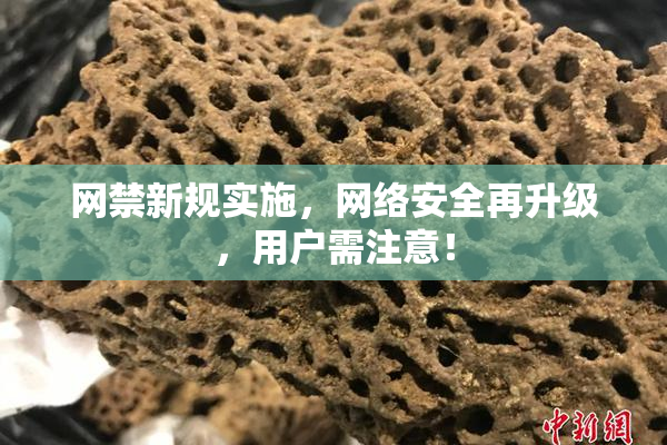 网禁新规实施，网络安全再升级，用户需注意！