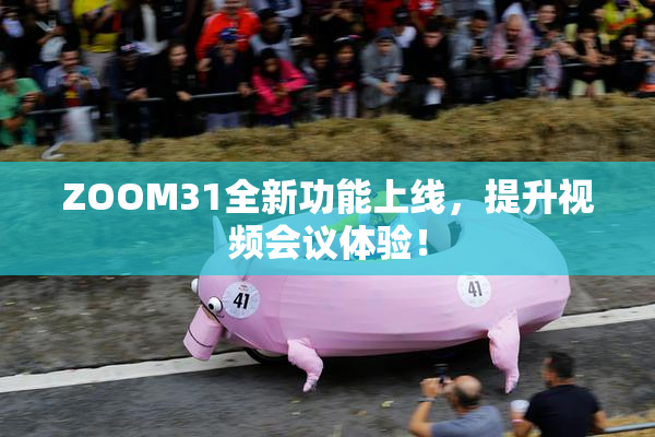 ZOOM31全新功能上线，提升视频会议体验！
