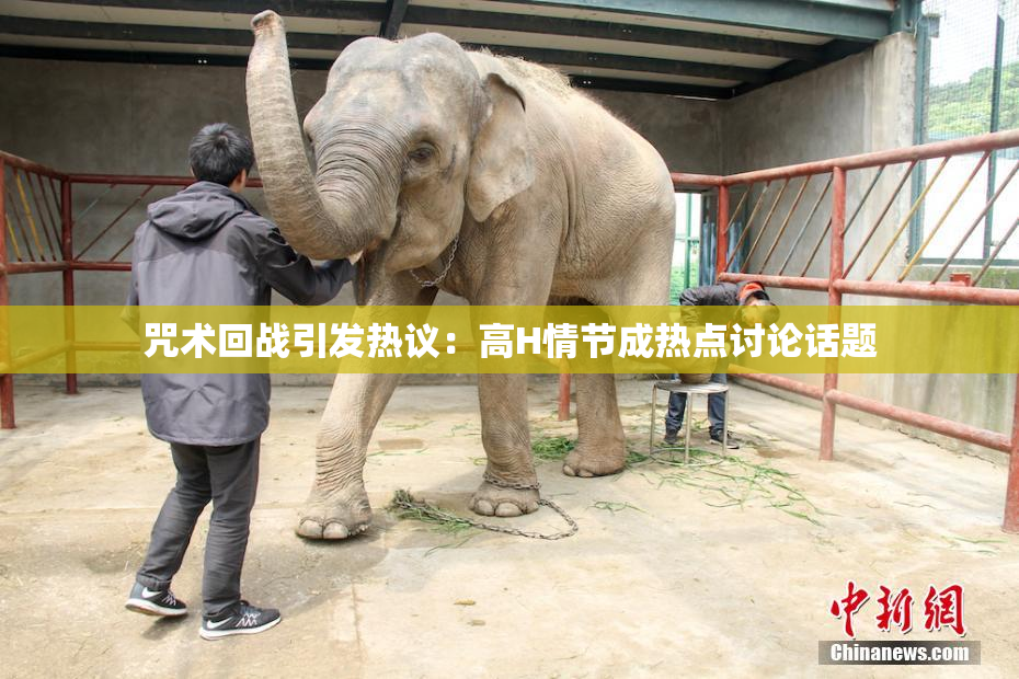 咒术回战引发热议：高H情节成热点讨论话题