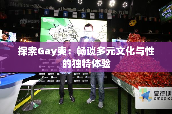探索Gay爽：畅谈多元文化与性的独特体验