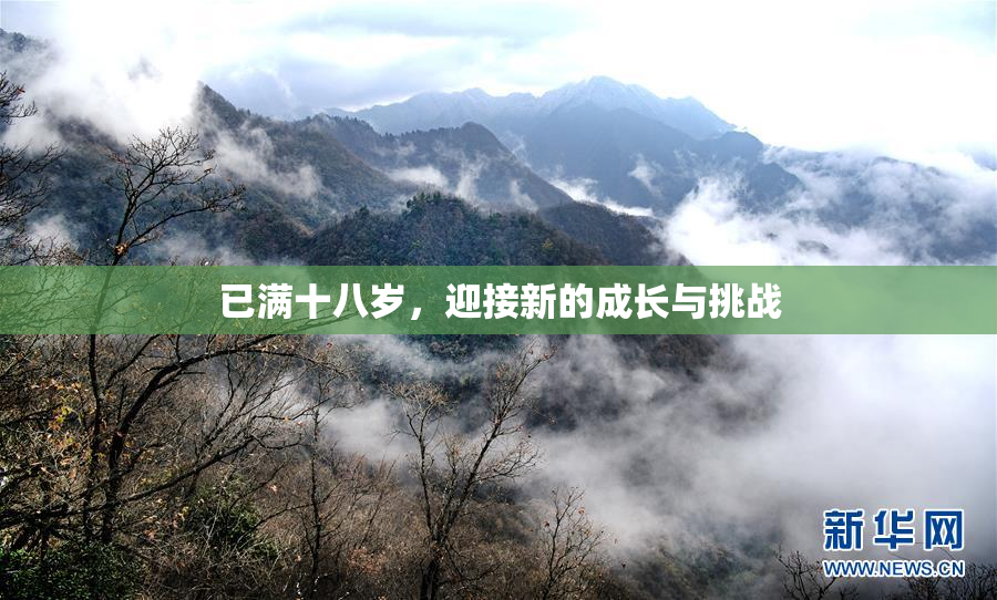 已满十八岁，迎接新的成长与挑战