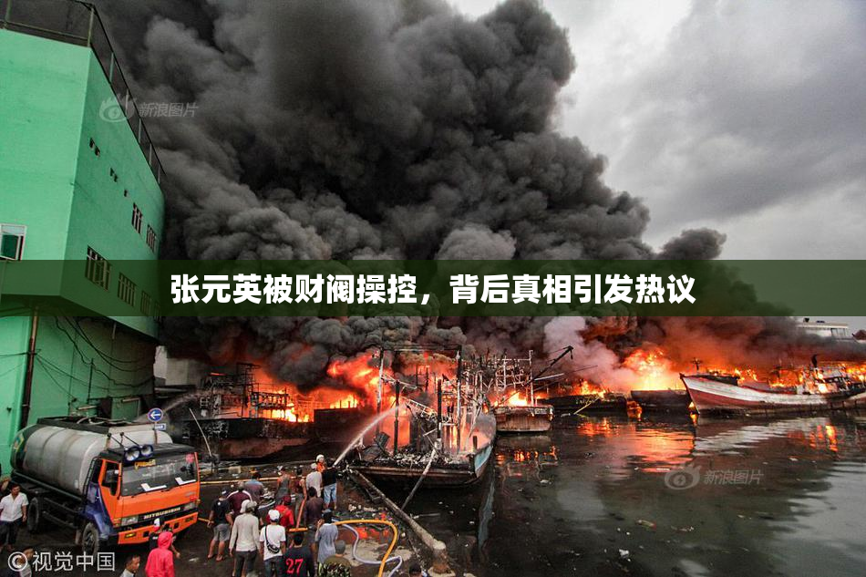 张元英被财阀操控，背后真相引发热议