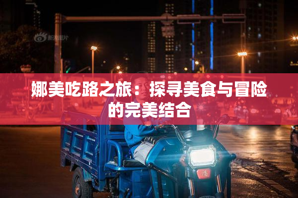 娜美吃路之旅：探寻美食与冒险的完美结合