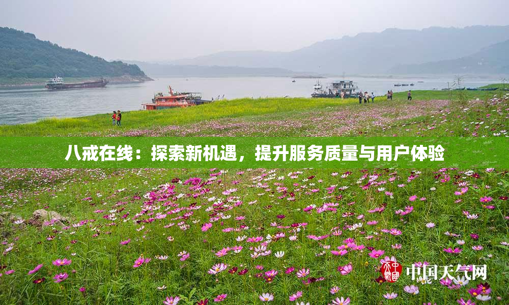 八戒在线：探索新机遇，提升服务质量与用户体验