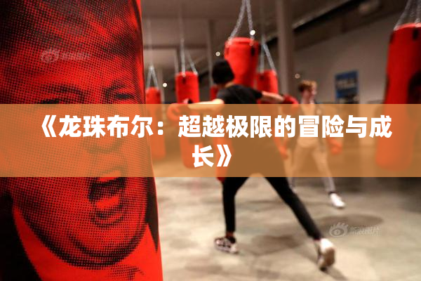 《龙珠布尔：超越极限的冒险与成长》