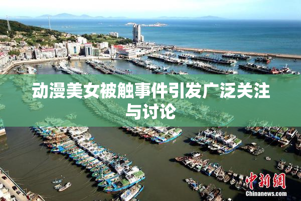动漫美女被触事件引发广泛关注与讨论