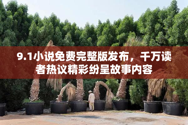 9.1小说免费完整版发布，千万读者热议精彩纷呈故事内容