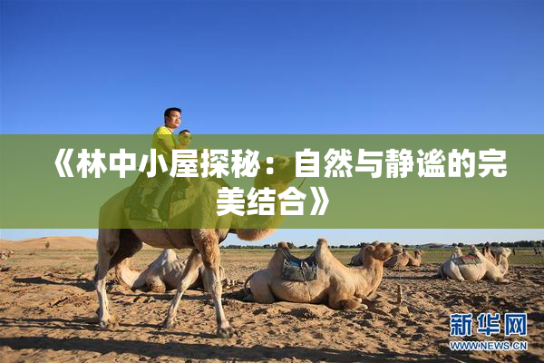 《林中小屋探秘：自然与静谧的完美结合》