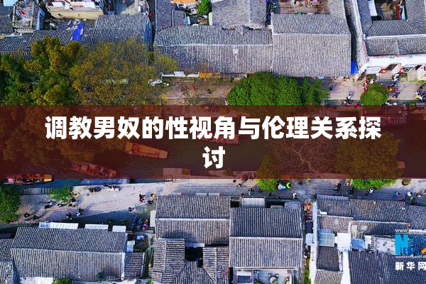调教男奴的性视角与伦理关系探讨