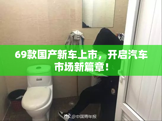 69款国产新车上市，开启汽车市场新篇章！