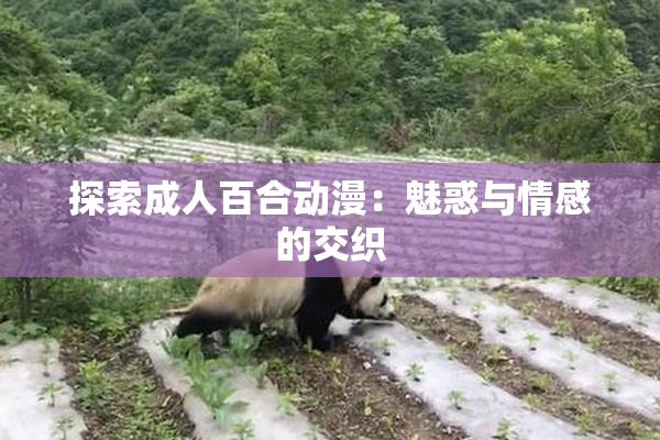 探索成人百合动漫：魅惑与情感的交织
