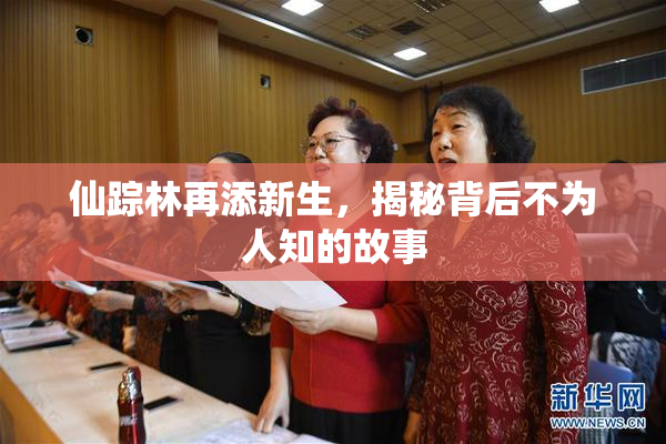 仙踪林再添新生，揭秘背后不为人知的故事