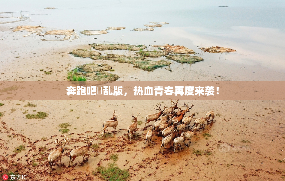 奔跑吧婬乱版，热血青春再度来袭！