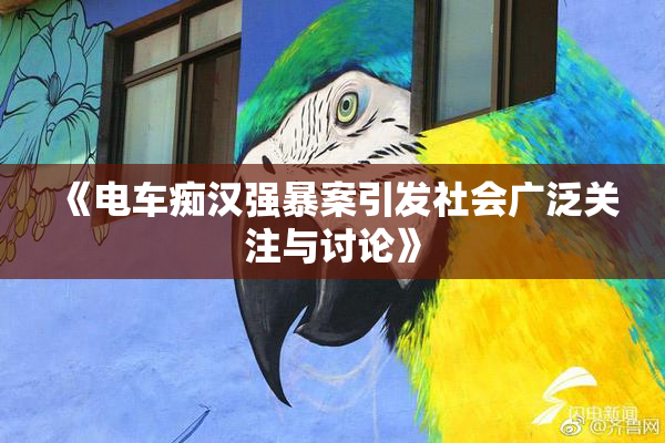 《电车痴汉强暴案引发社会广泛关注与讨论》