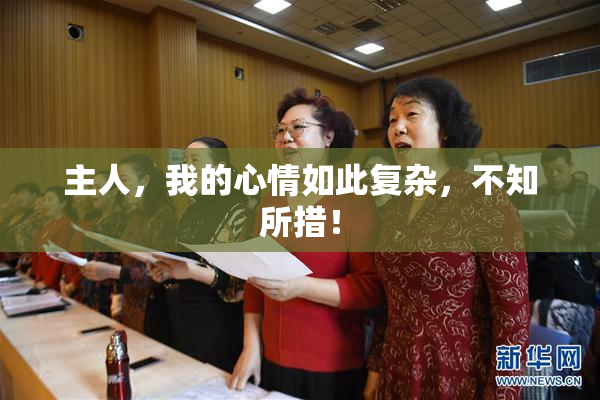 主人，我的心情如此复杂，不知所措！