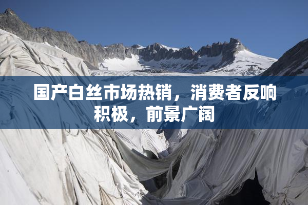 国产白丝市场热销，消费者反响积极，前景广阔
