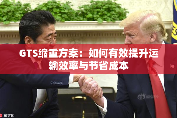 GTS缩重方案：如何有效提升运输效率与节省成本