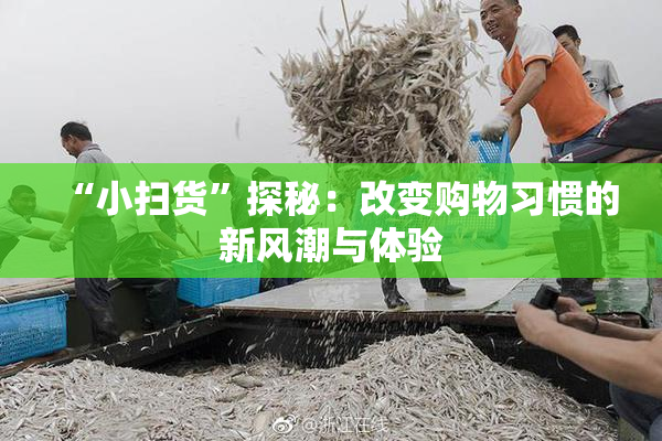 “小扫货”探秘：改变购物习惯的新风潮与体验