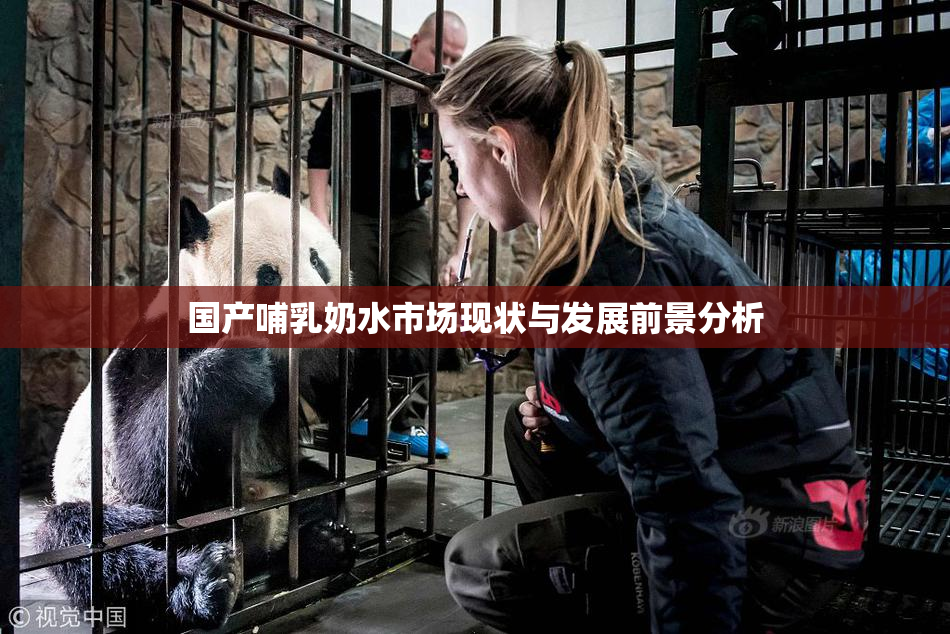 国产哺乳奶水市场现状与发展前景分析