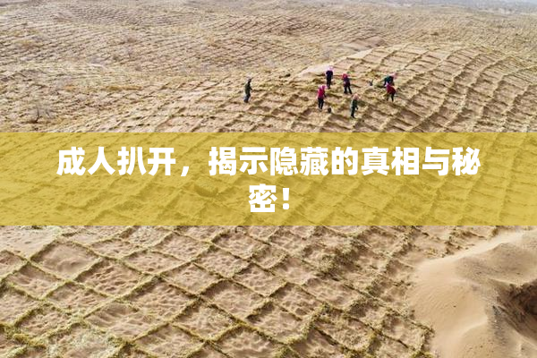 成人扒开，揭示隐藏的真相与秘密！