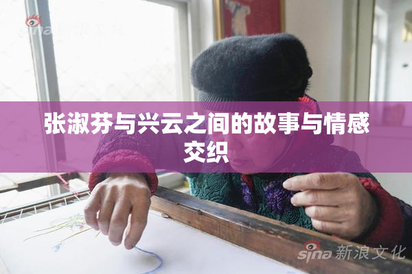 张淑芬与兴云之间的故事与情感交织