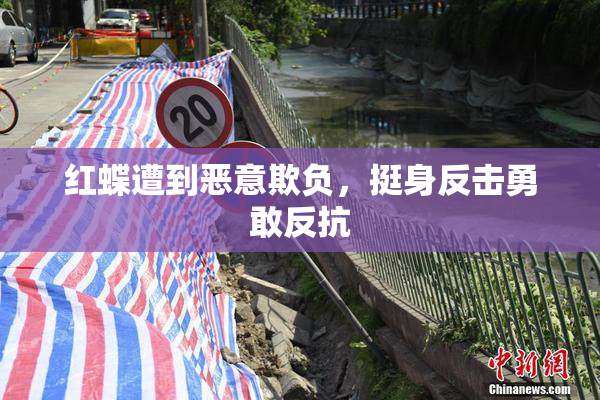 红蝶遭到恶意欺负，挺身反击勇敢反抗