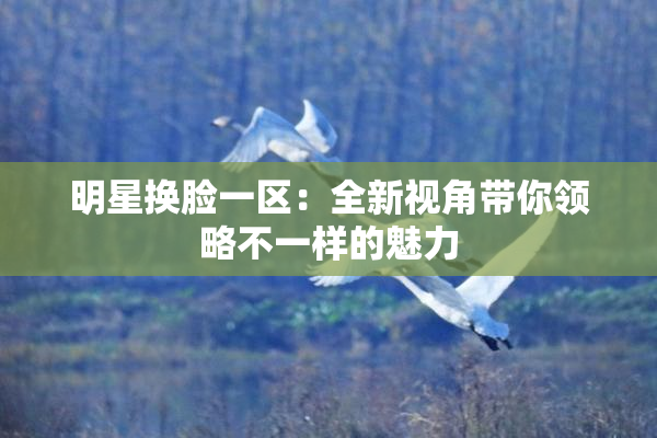 明星换脸一区：全新视角带你领略不一样的魅力