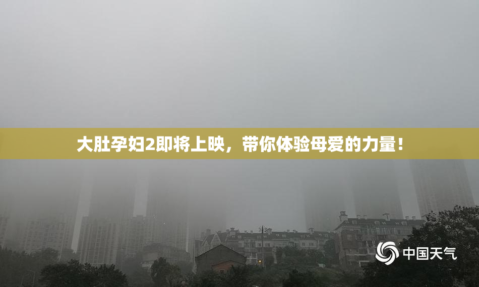 大肚孕妇2即将上映，带你体验母爱的力量！