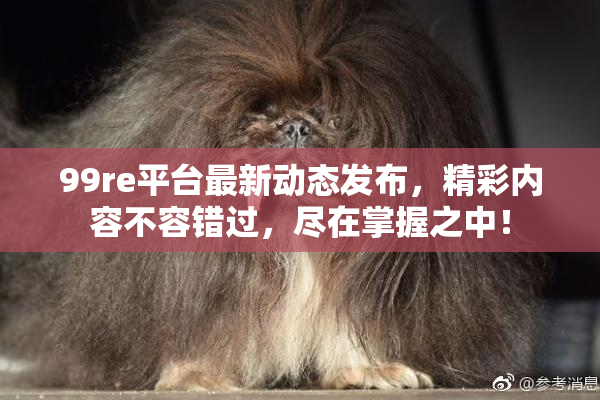 99re平台最新动态发布，精彩内容不容错过，尽在掌握之中！