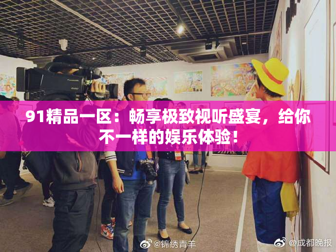 91精品一区：畅享极致视听盛宴，给你不一样的娱乐体验！