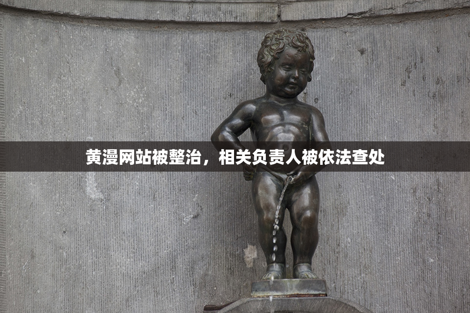 黄漫网站被整治，相关负责人被依法查处