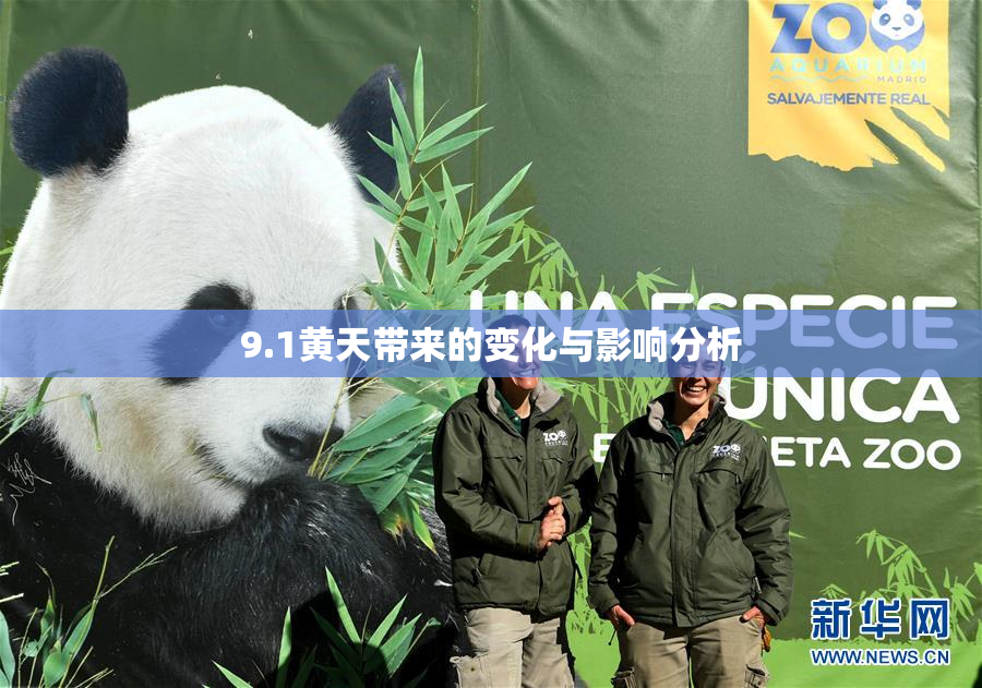 9.1黄天带来的变化与影响分析
