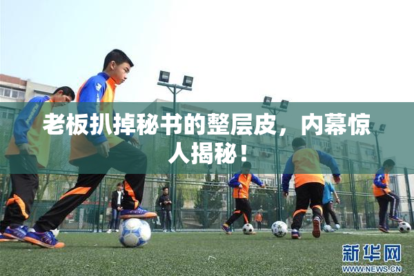 老板扒掉秘书的整层皮，内幕惊人揭秘！