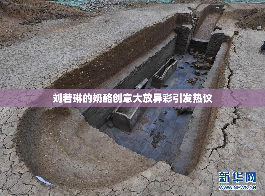 刘若琳的奶酪创意大放异彩引发热议