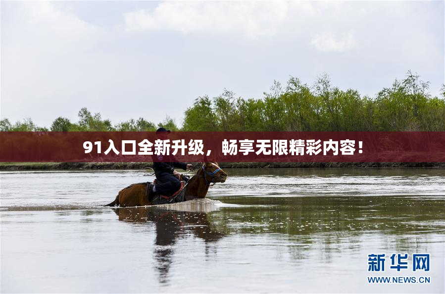 91入口全新升级，畅享无限精彩内容！